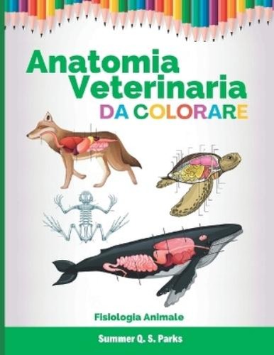 Summer parks anatomia - s,