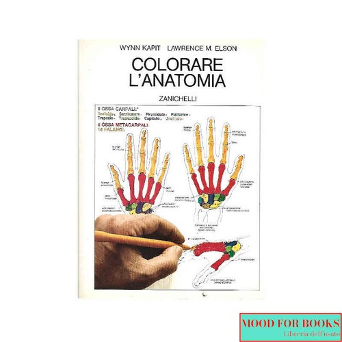 Kapit elson colorare - kapit,,