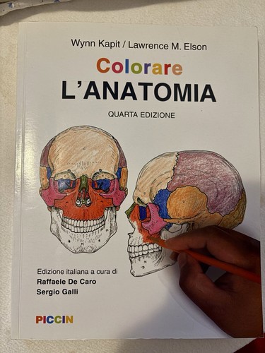 Piccin colorare anatomia - piccin, l’anatomia